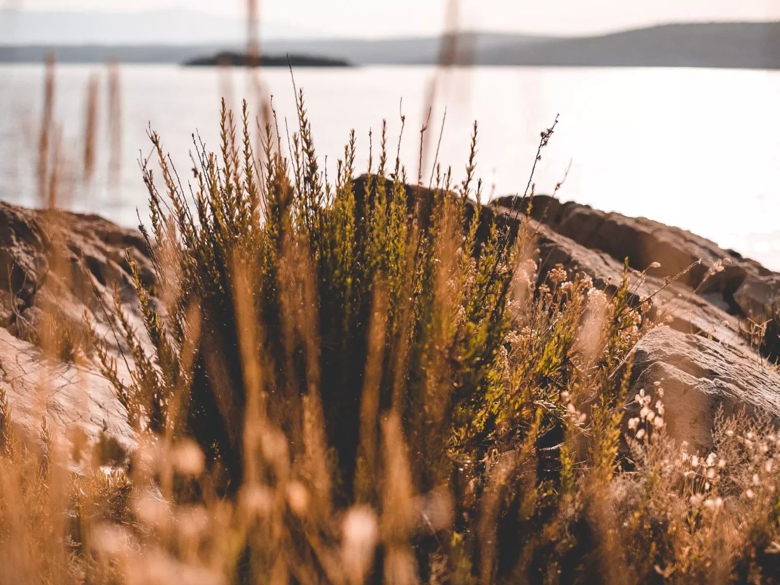 Haus am Meer Šolta - Buiten
