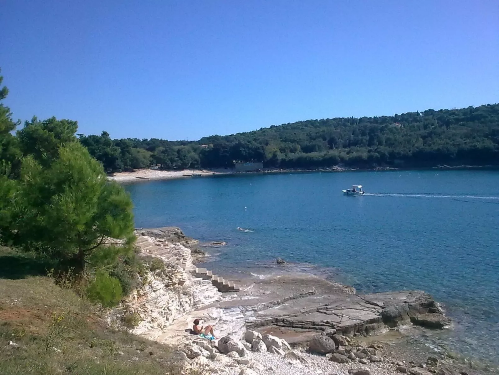 Ginkgo 4 - Image-tags.info