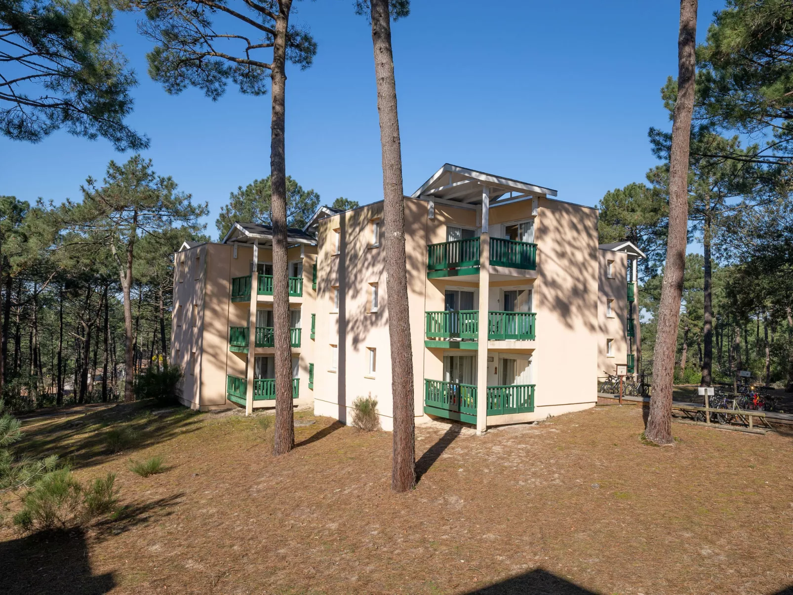 Les Grands Pins - Buiten