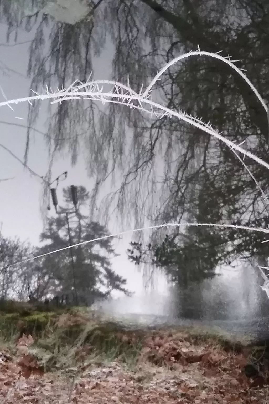 MaisonMazerand    Wohnen - Entspannen - Genießen - Buiten