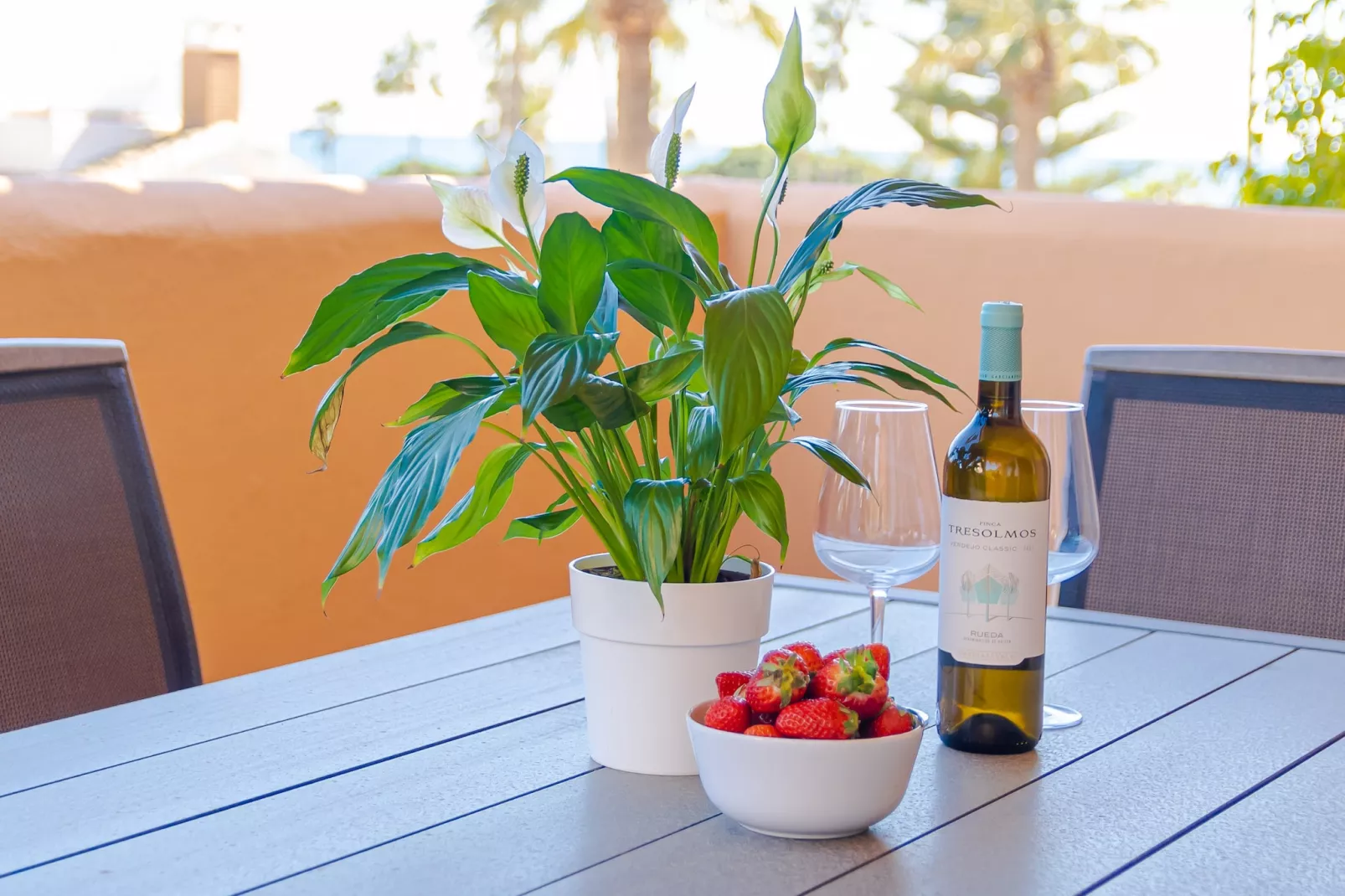 Apartment only 80 Meters from the Beach - Sfeer