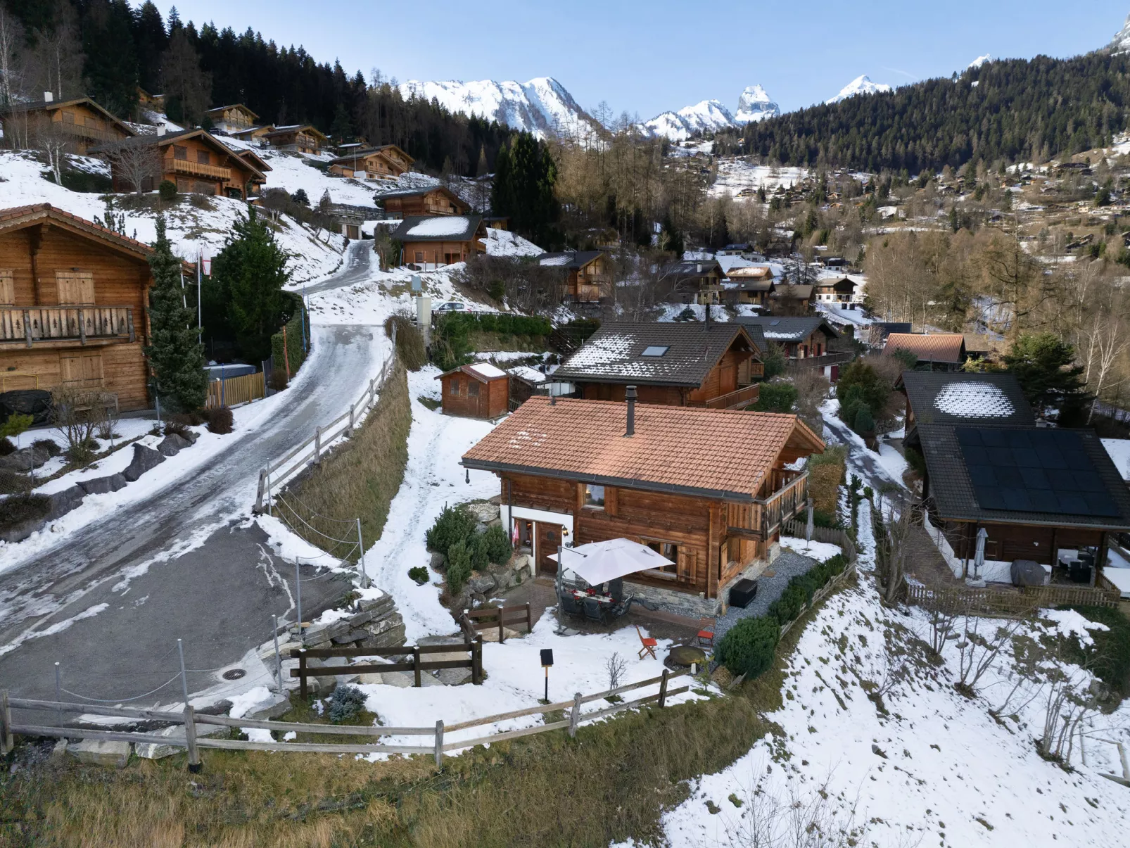 Ecureuil noir - Buiten