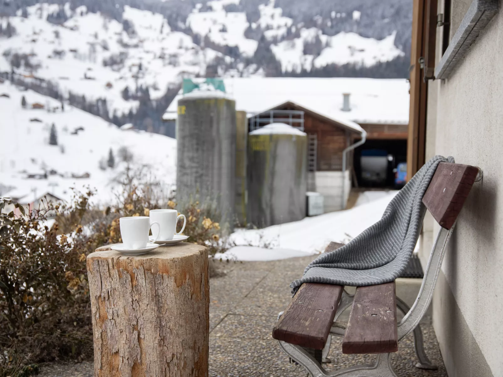 Chalet Reinhysi - Buiten