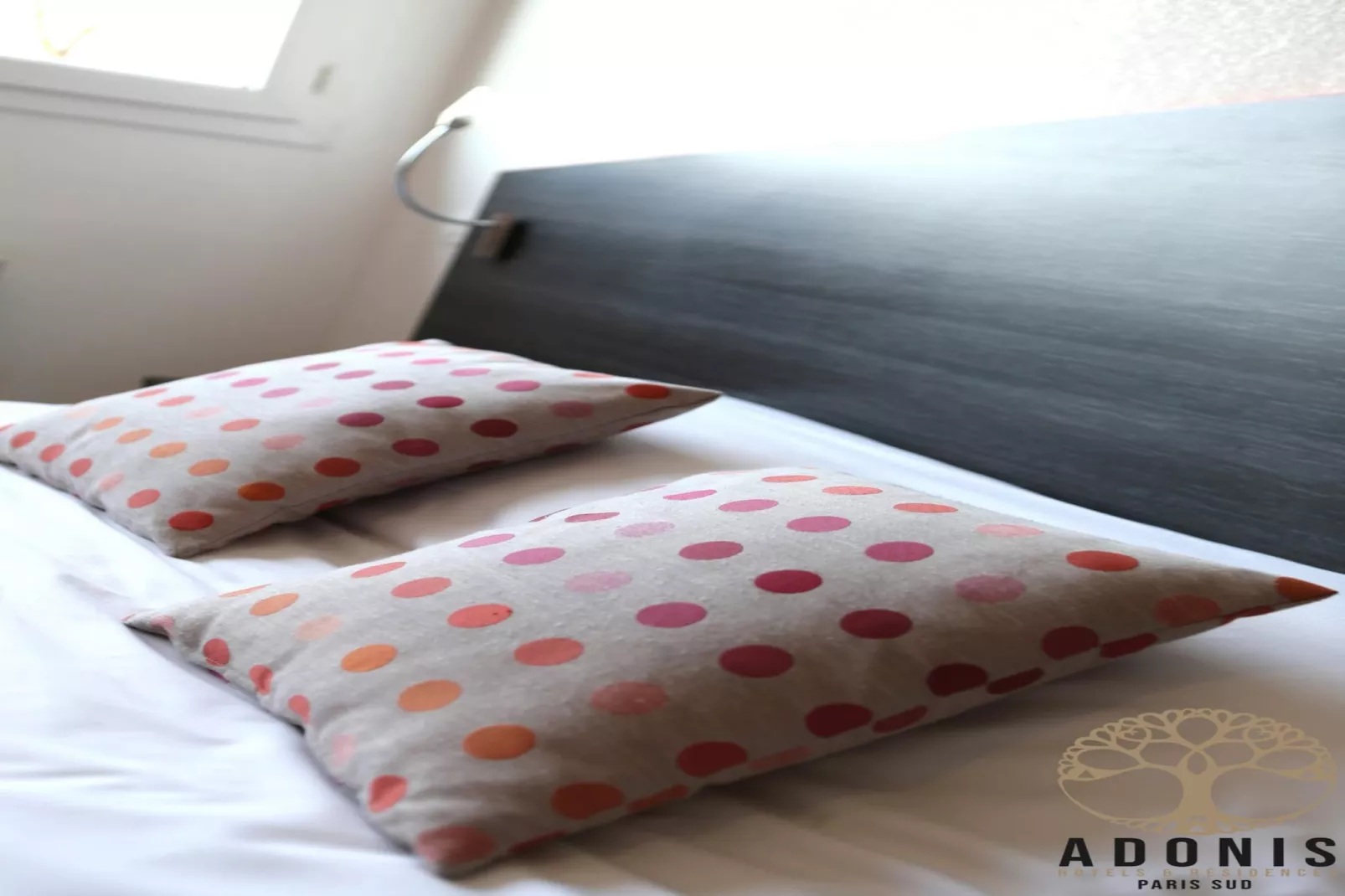 Adonis Paris Double Studio - Sfeer