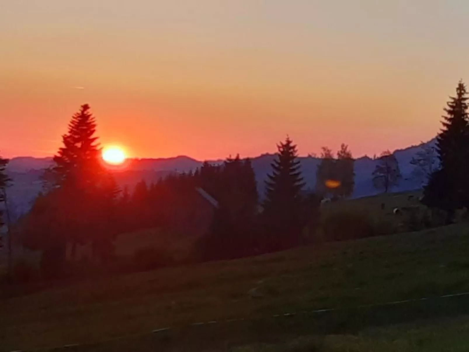 Hof Unterstein - Buiten