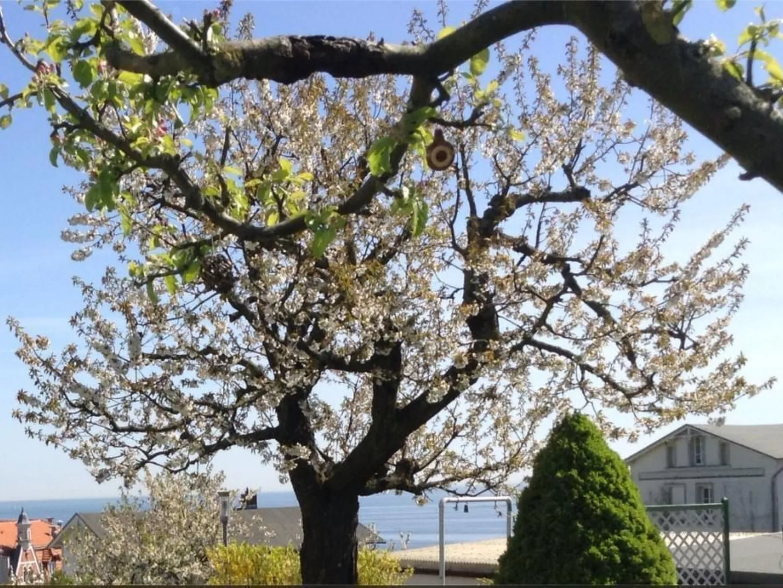 Strandläuferle - Buiten