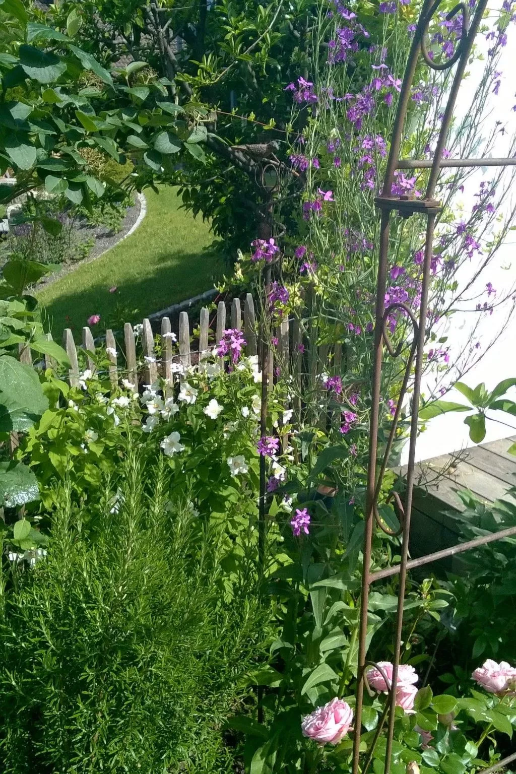 Villa Romantica - Buiten