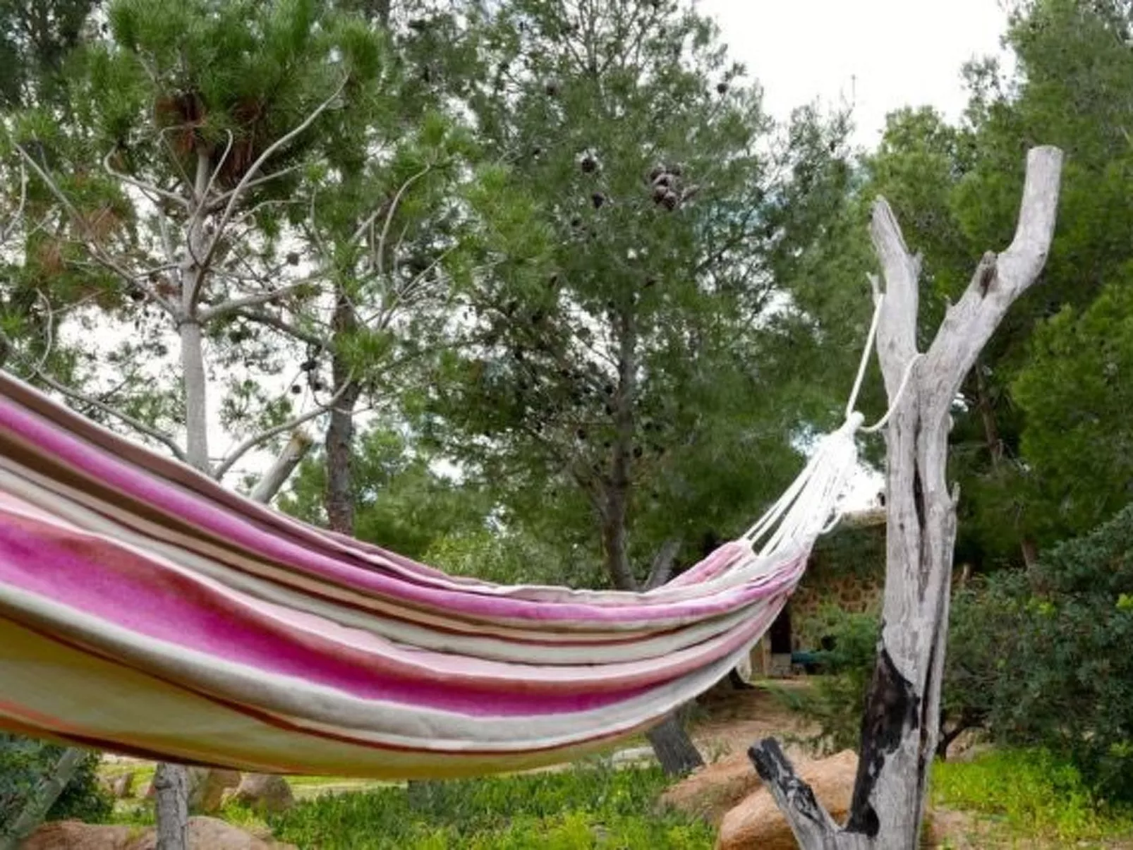 "Anania - Image-tags.info