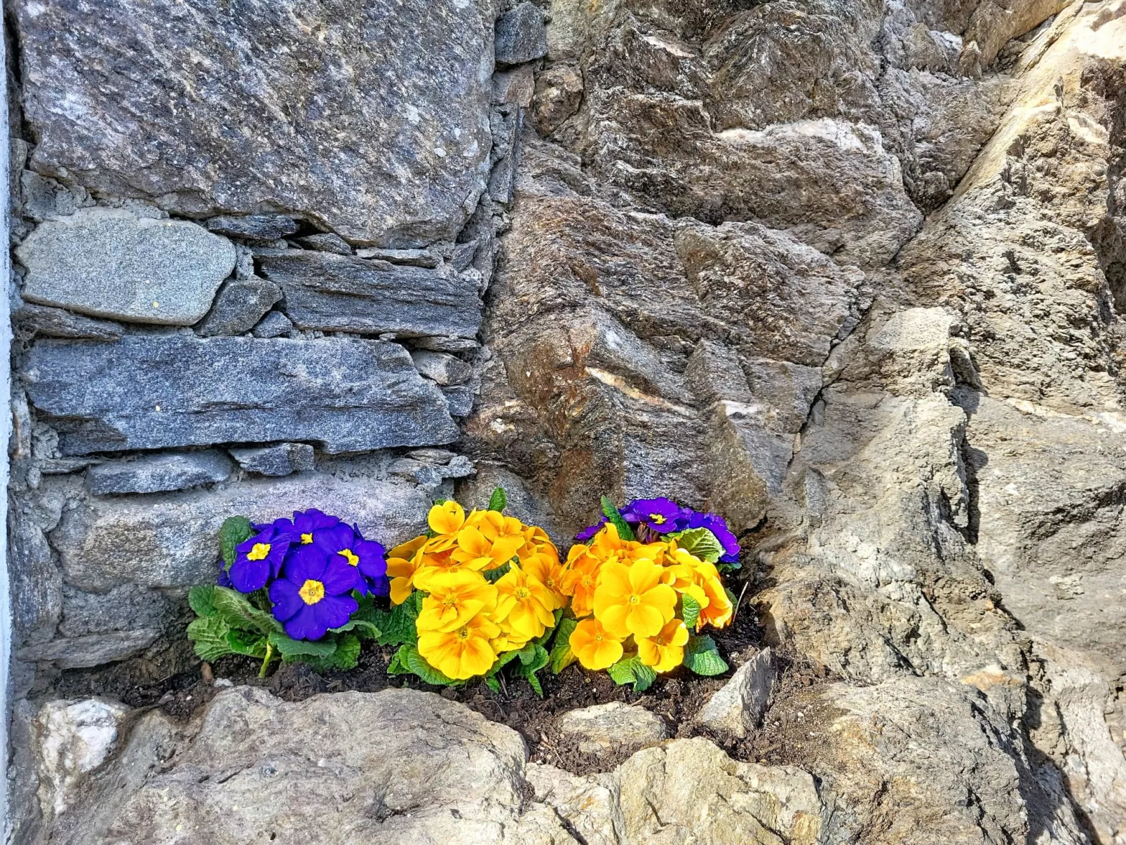 Apt. Tana dei Leoni - Buiten