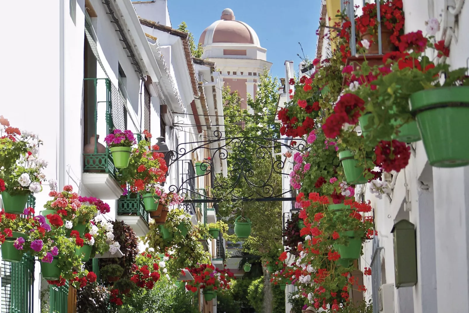 Stylish 3-Bed Apartment | Alcazaba Lagoon 1514 - Gebieden zomer 1km