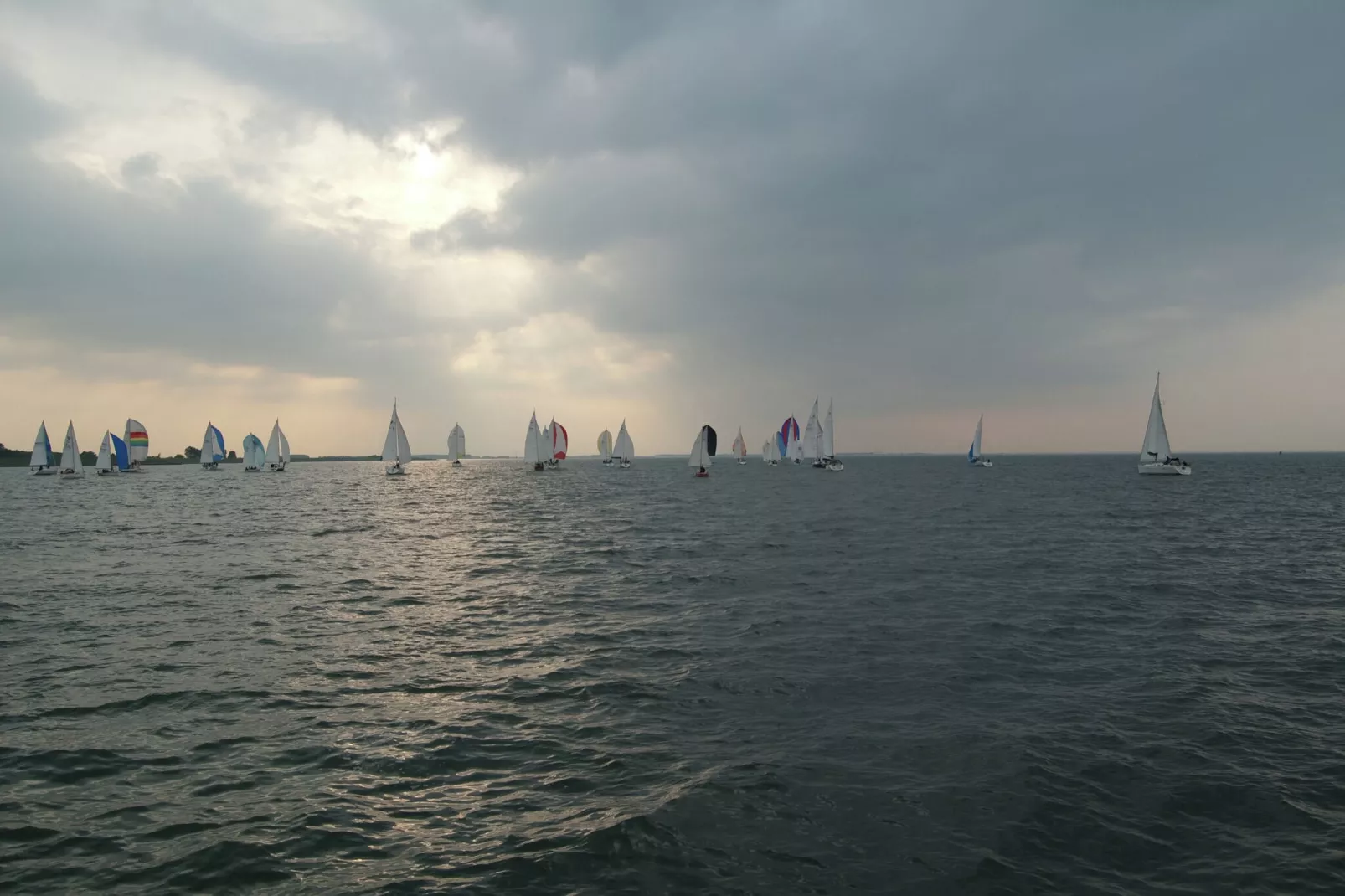 Villapark De Oesterbaai 21-Gebieden zomer 1km