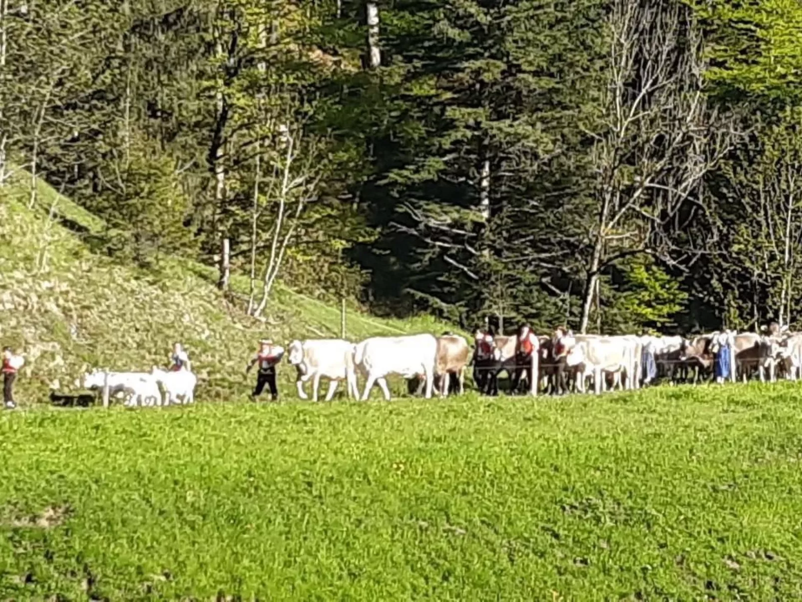 Hof Unterstein - Buiten
