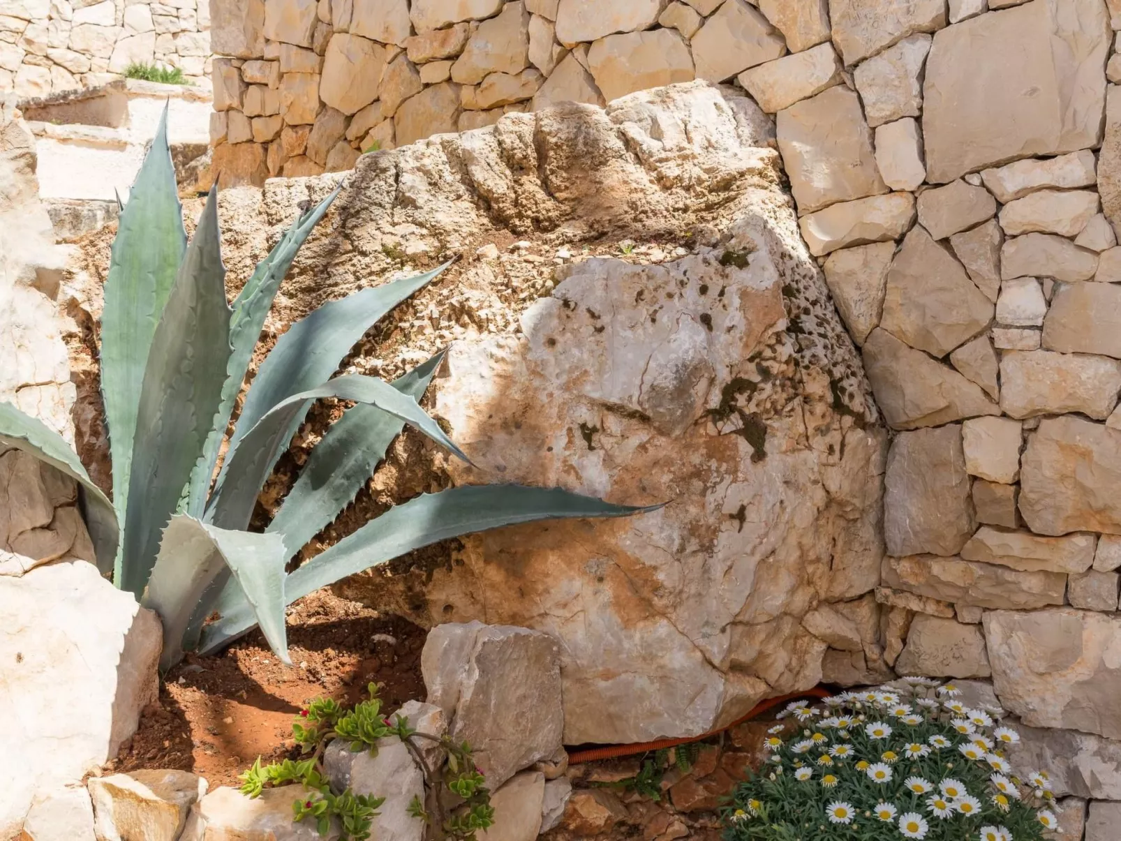 Ferienvilla "Sunset Bliss Retreat" - Buiten