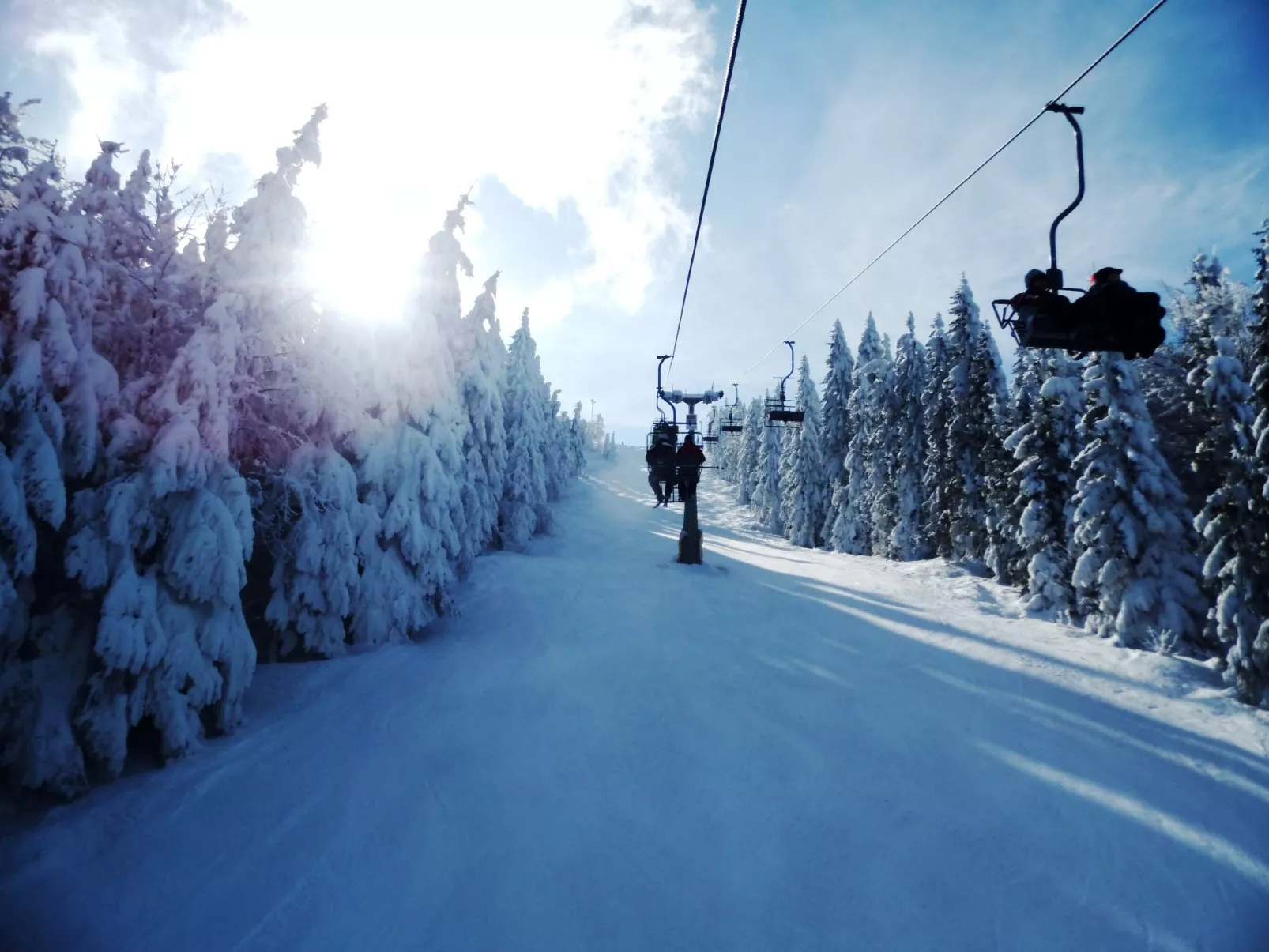 Am Hohen Bogen - Omgeving