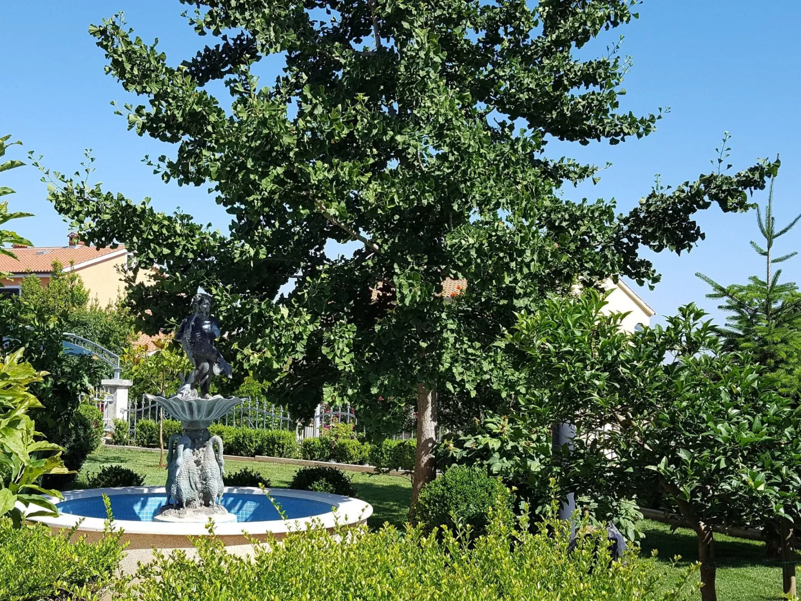 Ginkgo 4 - Image-tags.info