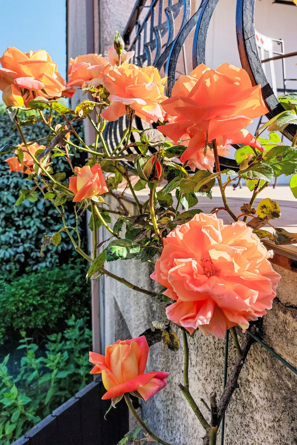 Urlaub im Süden zwischen Meer und Bergen - Buiten