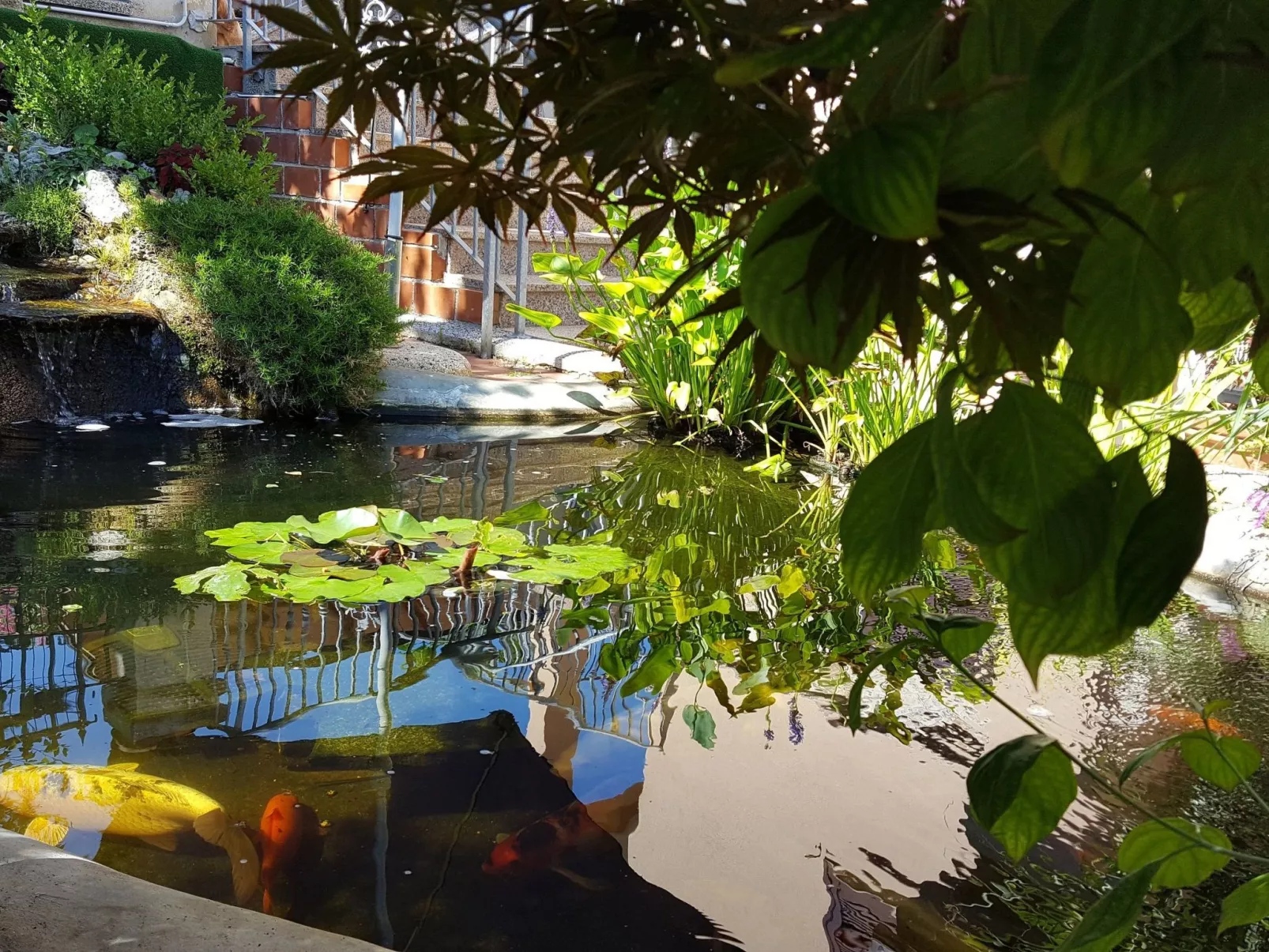 Ginkgo 4 - Image-tags.info