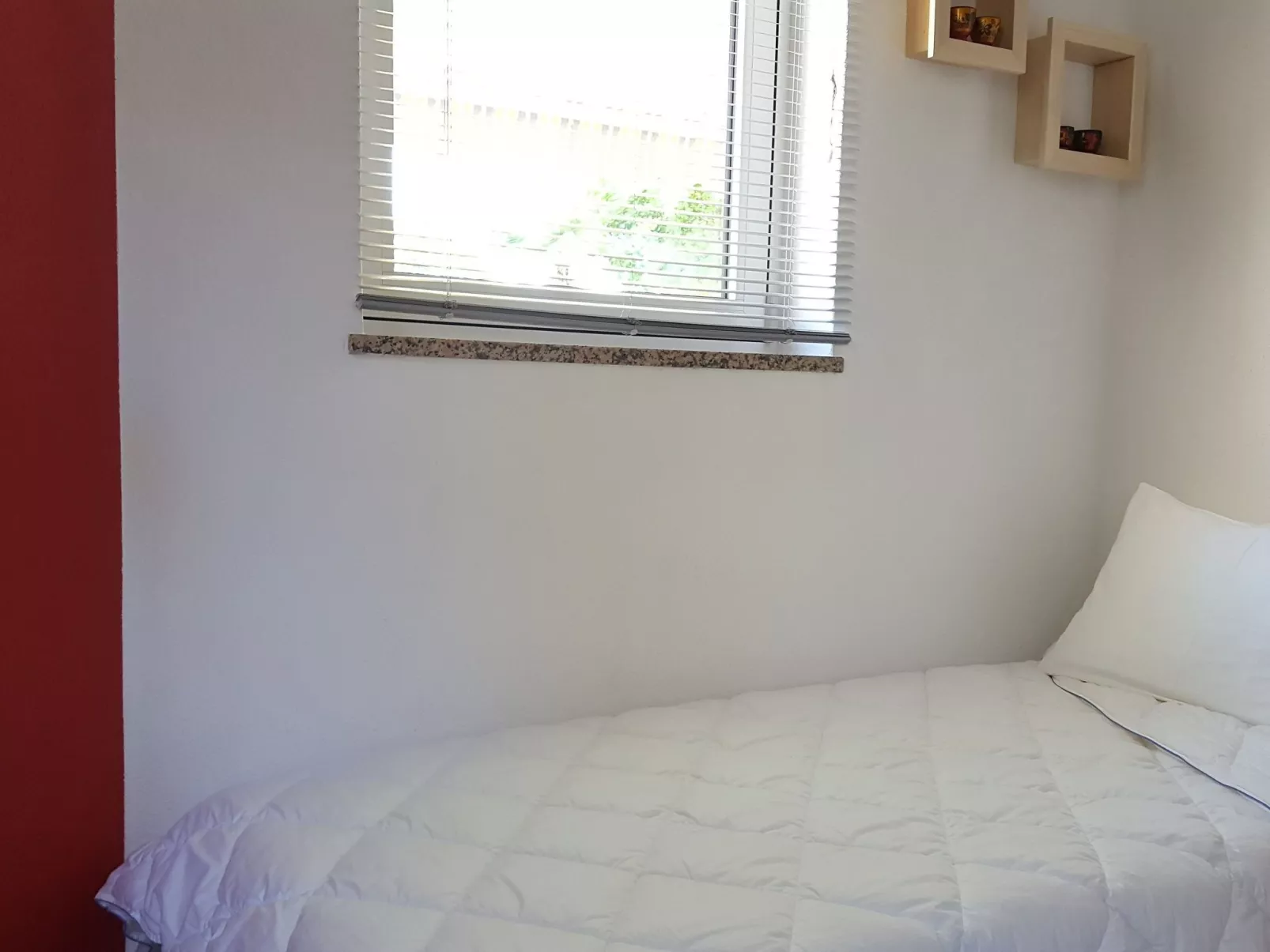 Ginkgo 3 - Image-tags.info