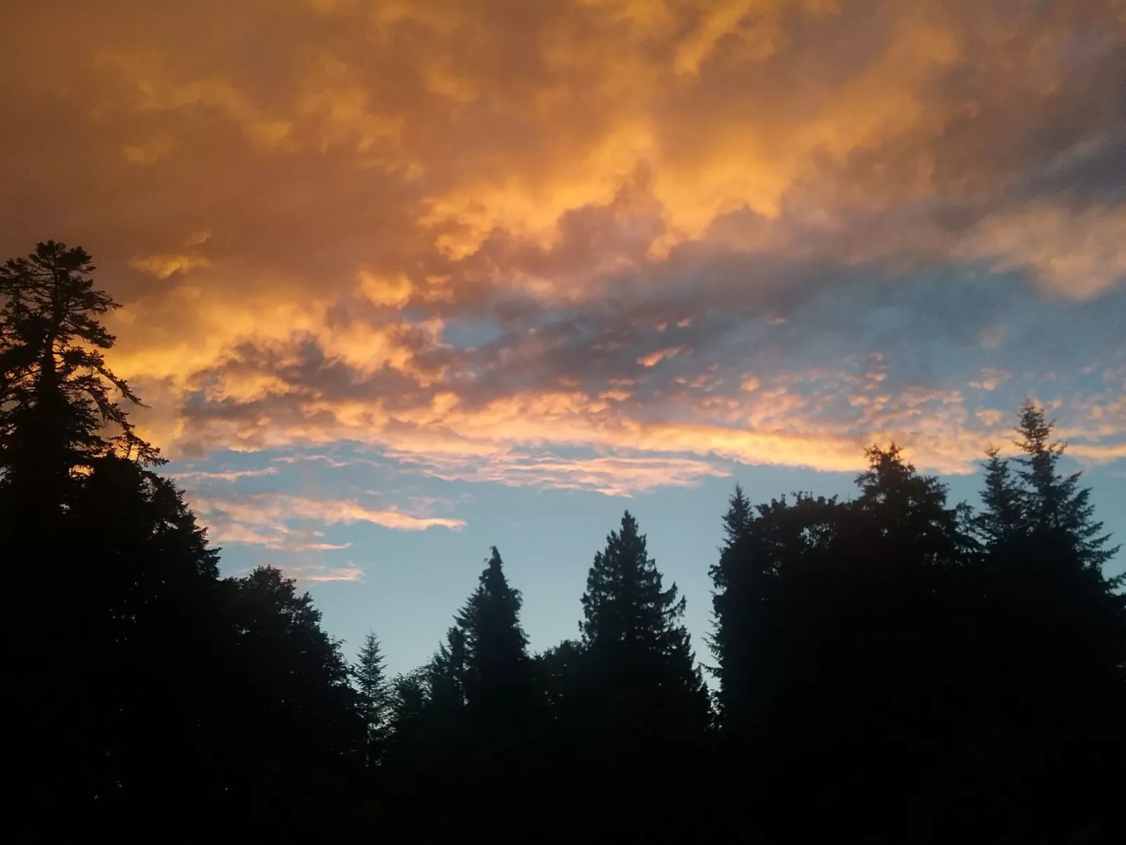 MaisonMazerand    Wohnen - Entspannen - Genießen - Buiten