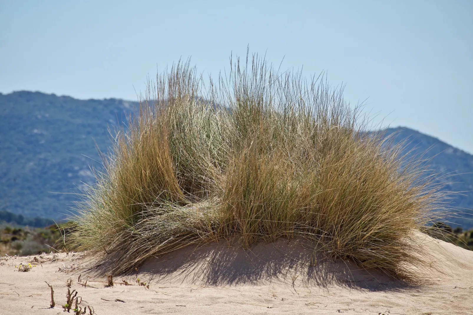Il Ginepro - Gebieden zomer 5km