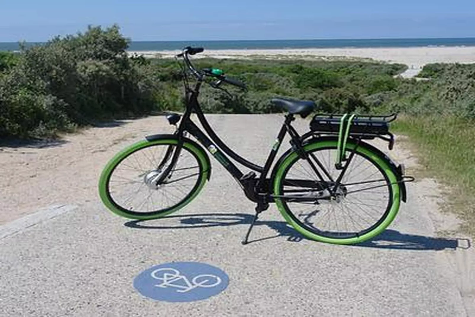 Duinhoeve Chalet Vogel - Huisdier niet toegestaan - Sfeer