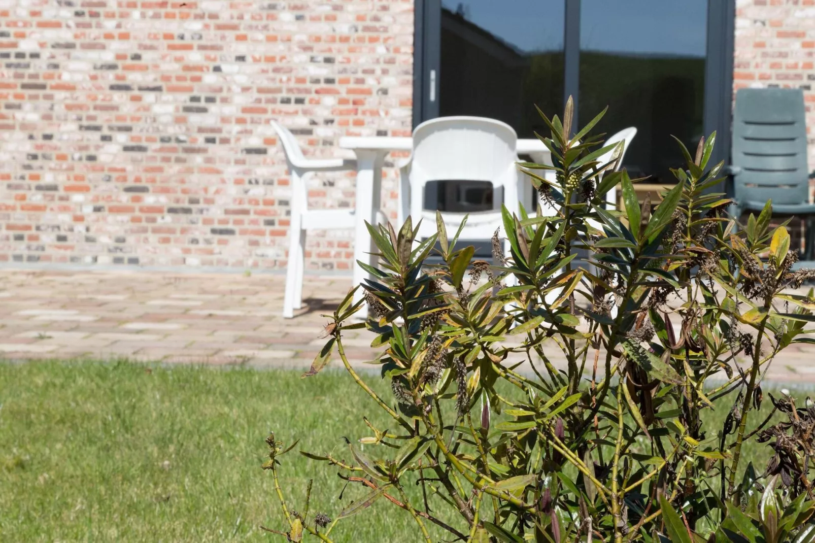 Kustwoning Baarland in Zeeland-Tuinen zomer