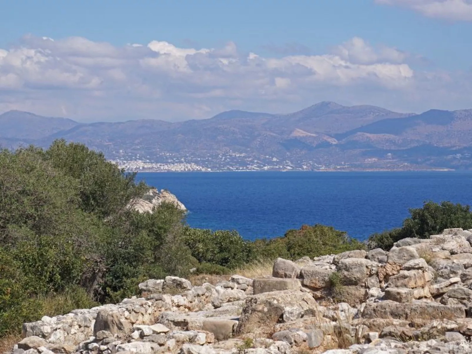 Oleander - Image-tags.info