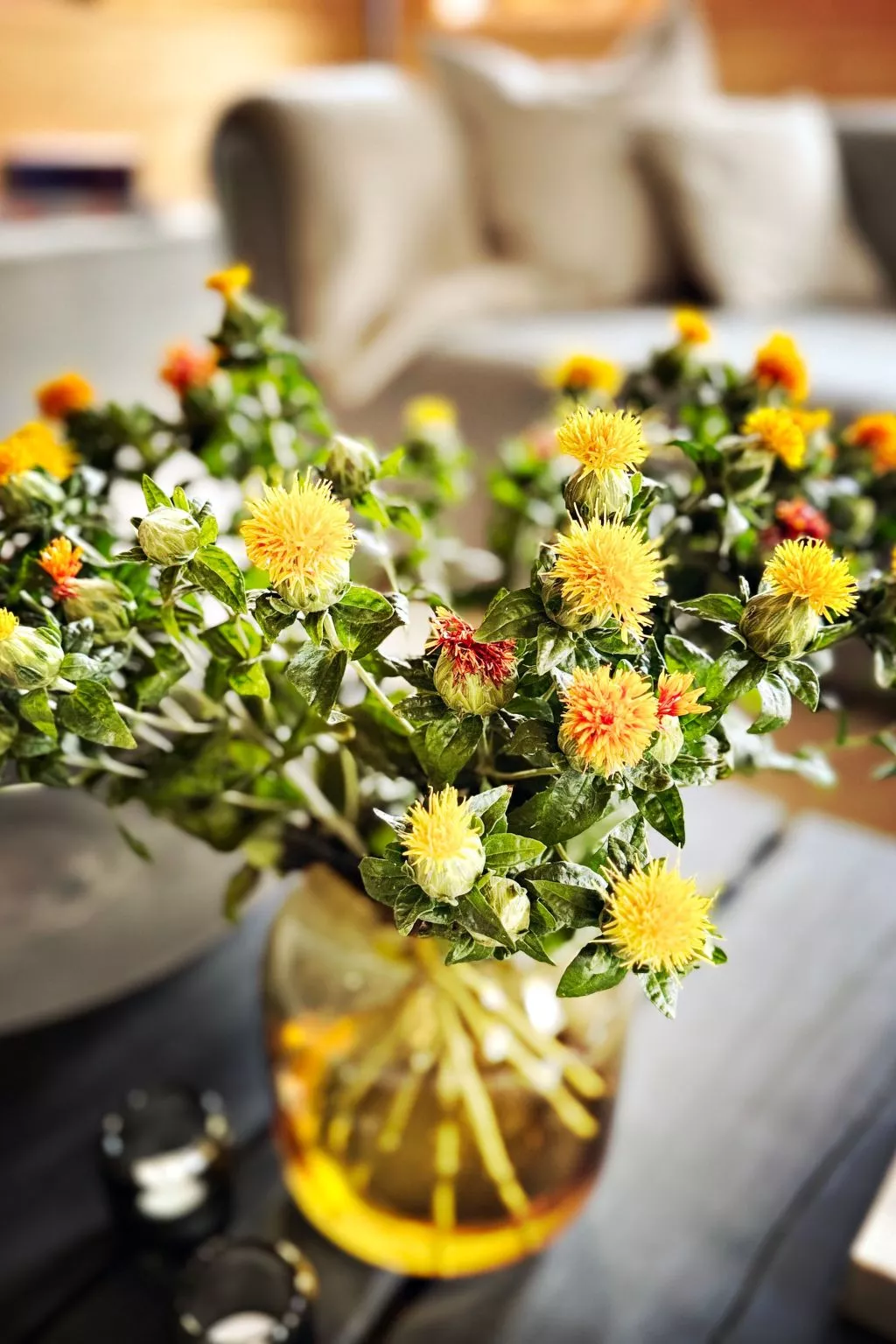 NEU!   dasErbhaus - Binnen