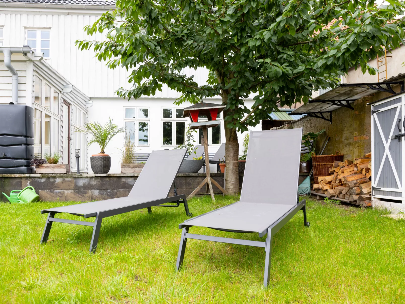 Königliches Duett - Buiten