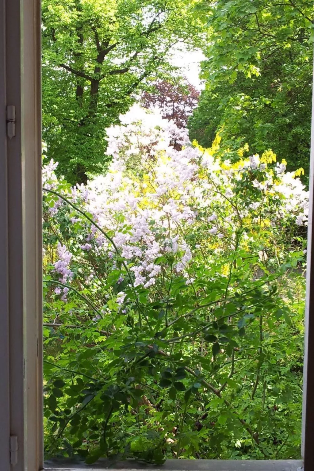 Kleine Villa West - Image-tags.info