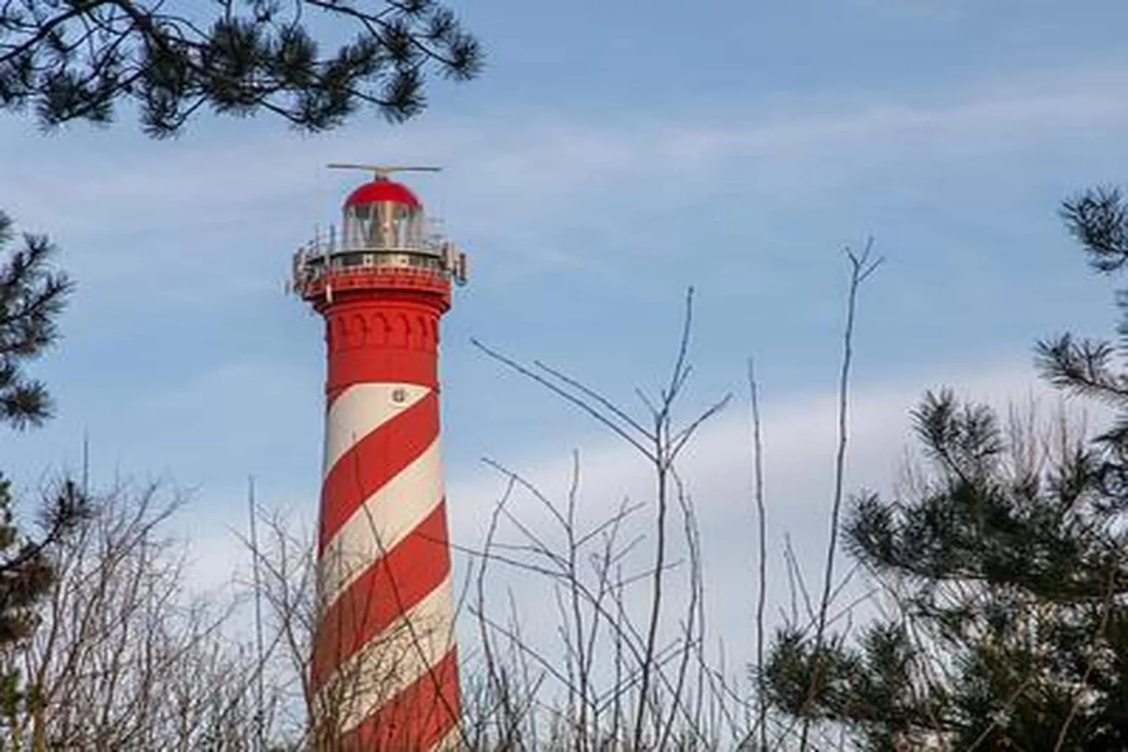 Duinhoeve Chalet Vogel - Huisdier niet toegestaan - Sfeer