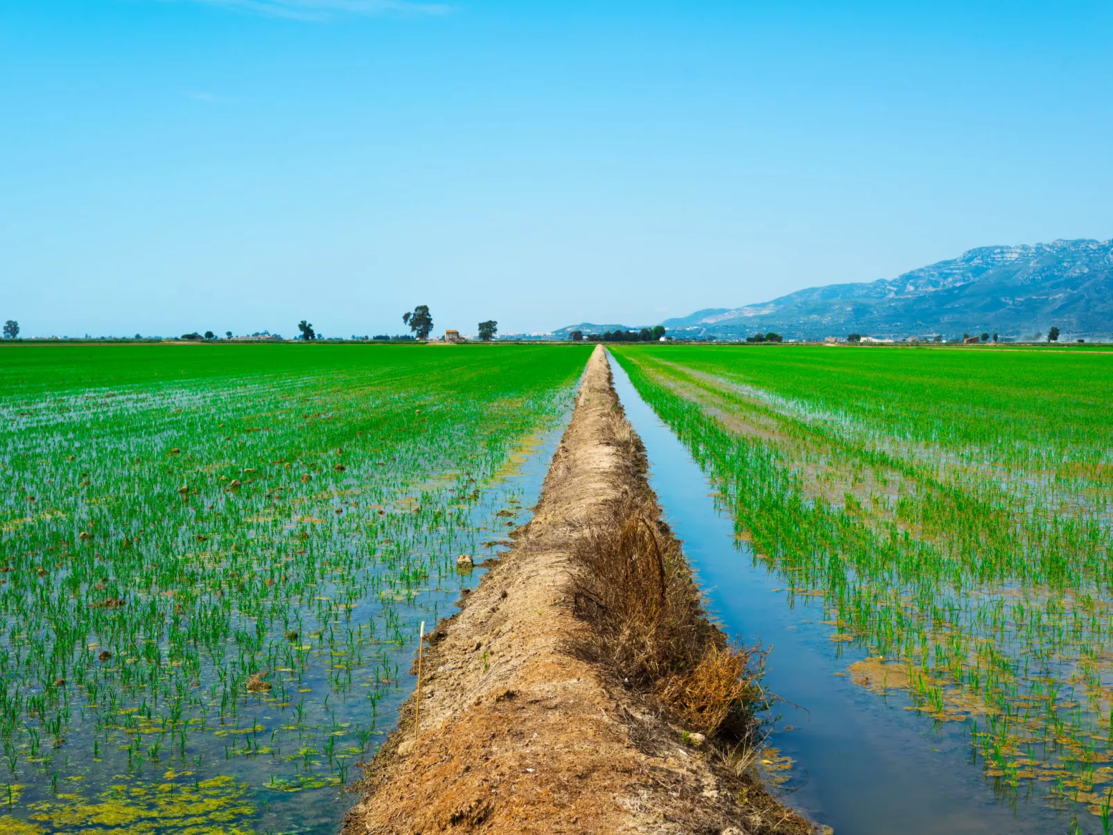 Primavera - Omgeving