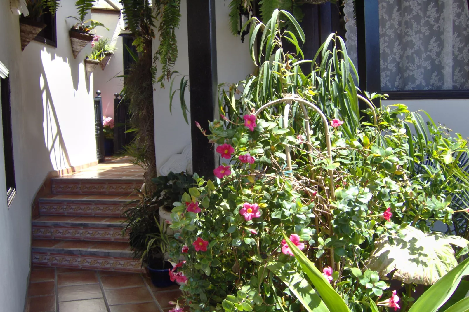 Apartamentos Monasterio de San Antonio 3 - Sfeer