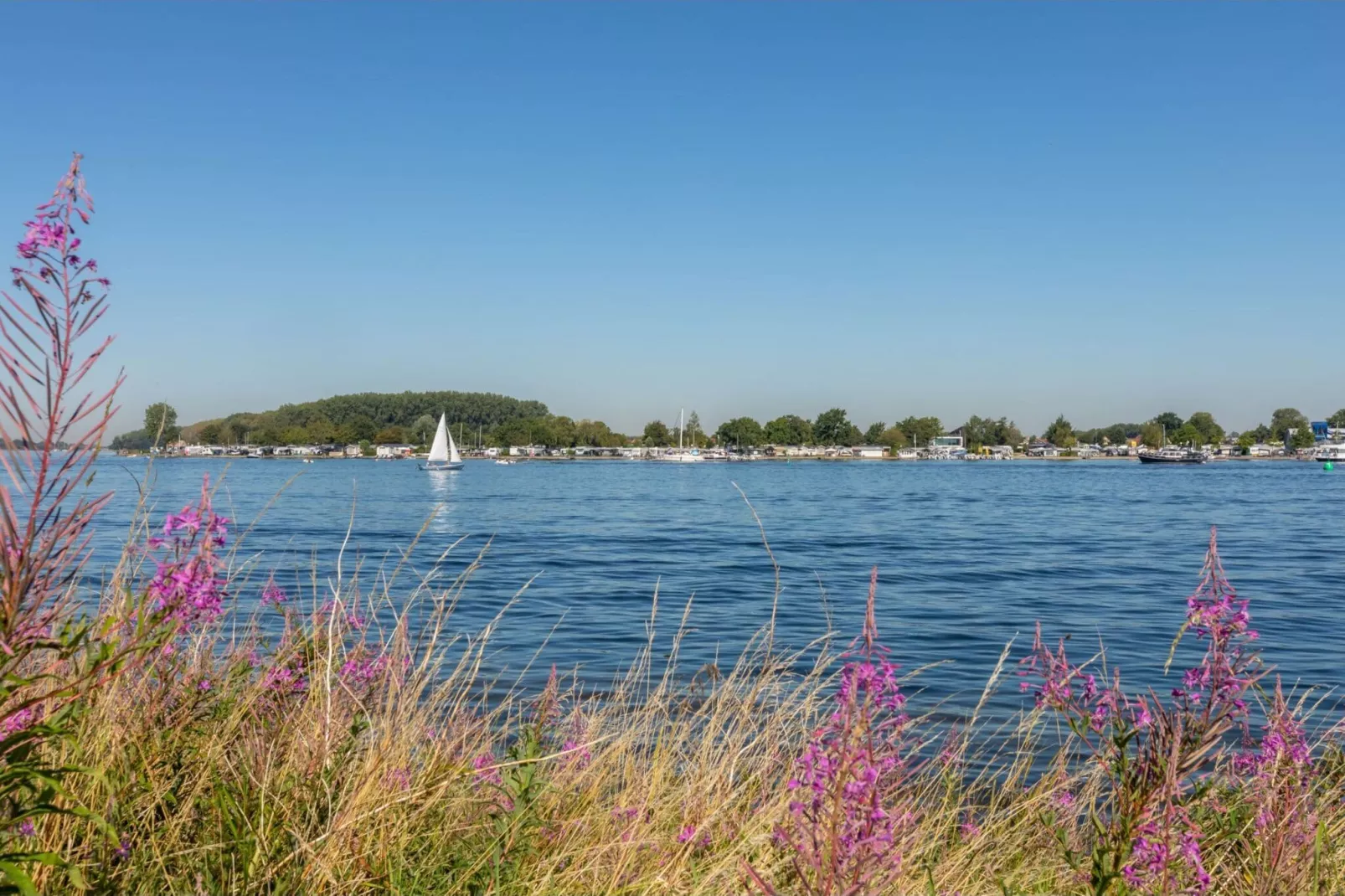 Inlaag 31-Gebieden zomer 1km