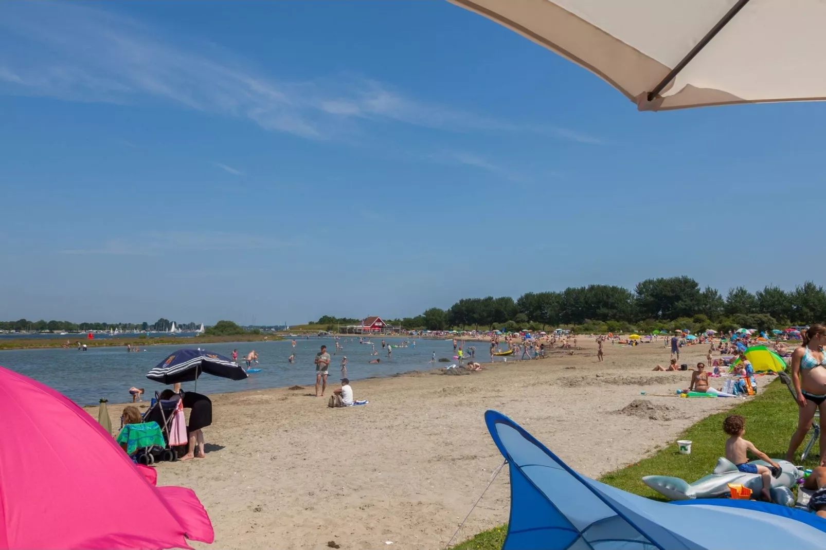 Inlaag 31-Gebieden zomer 1km