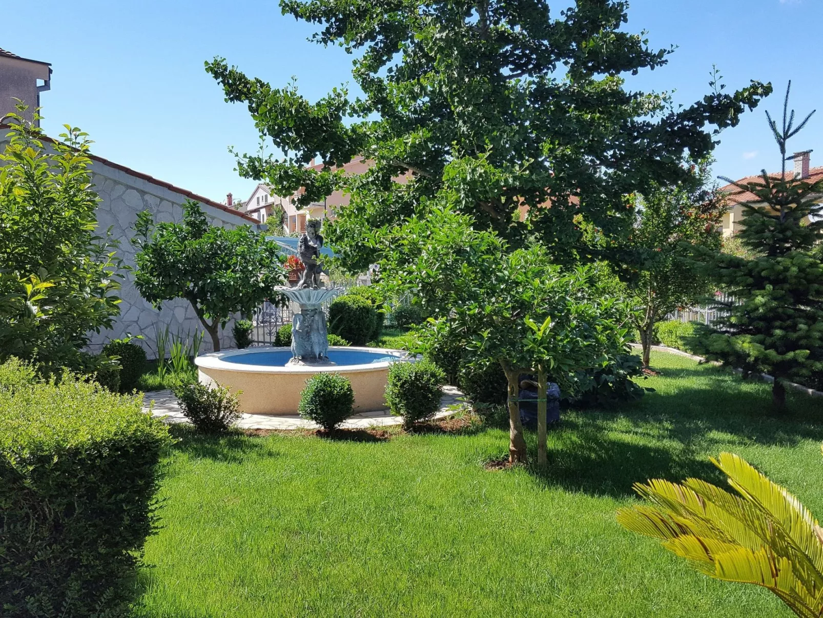 Ginkgo 4 - Image-tags.info