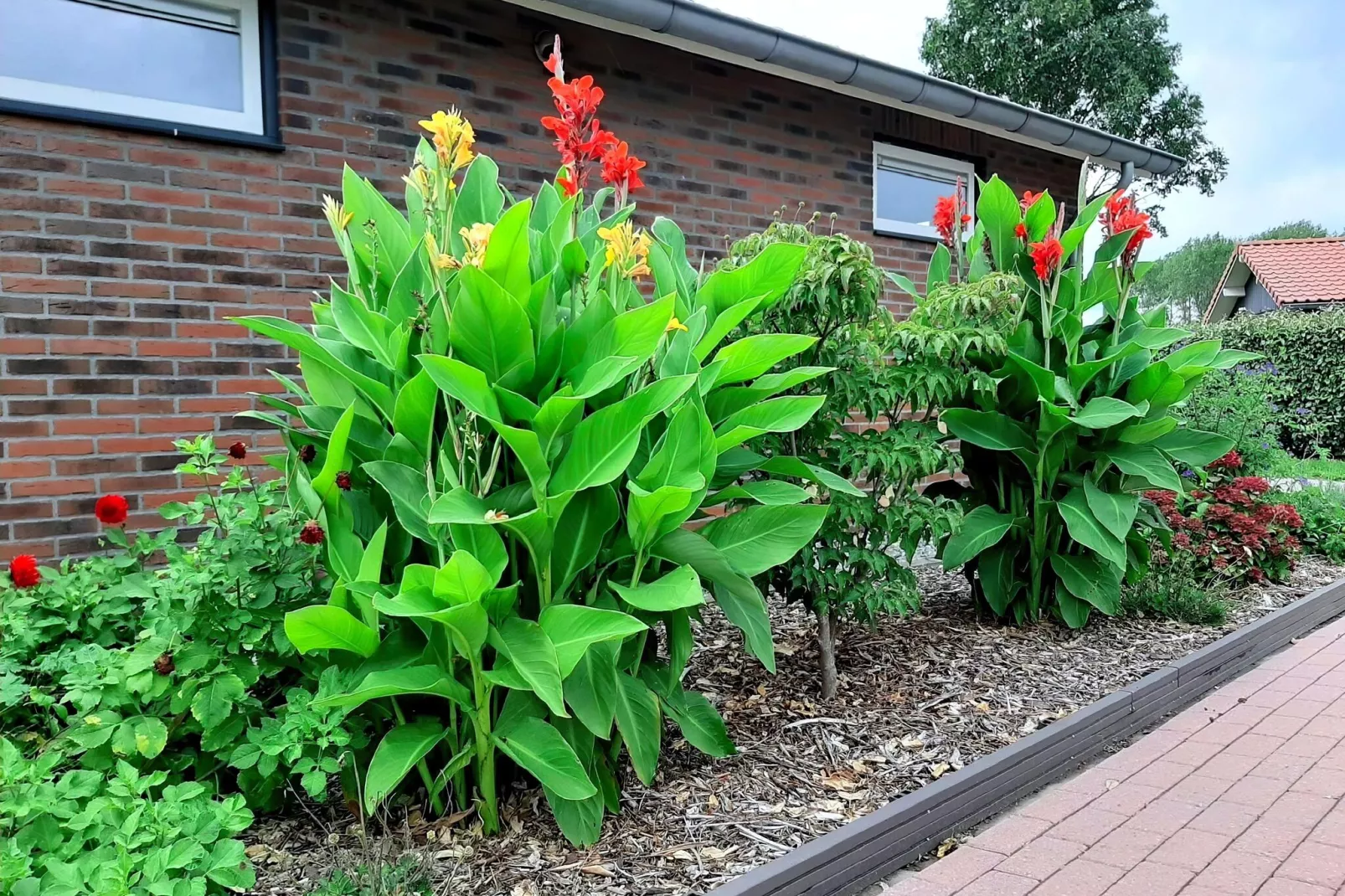Het Huis Van Rust En Plezier-Tuinen zomer
