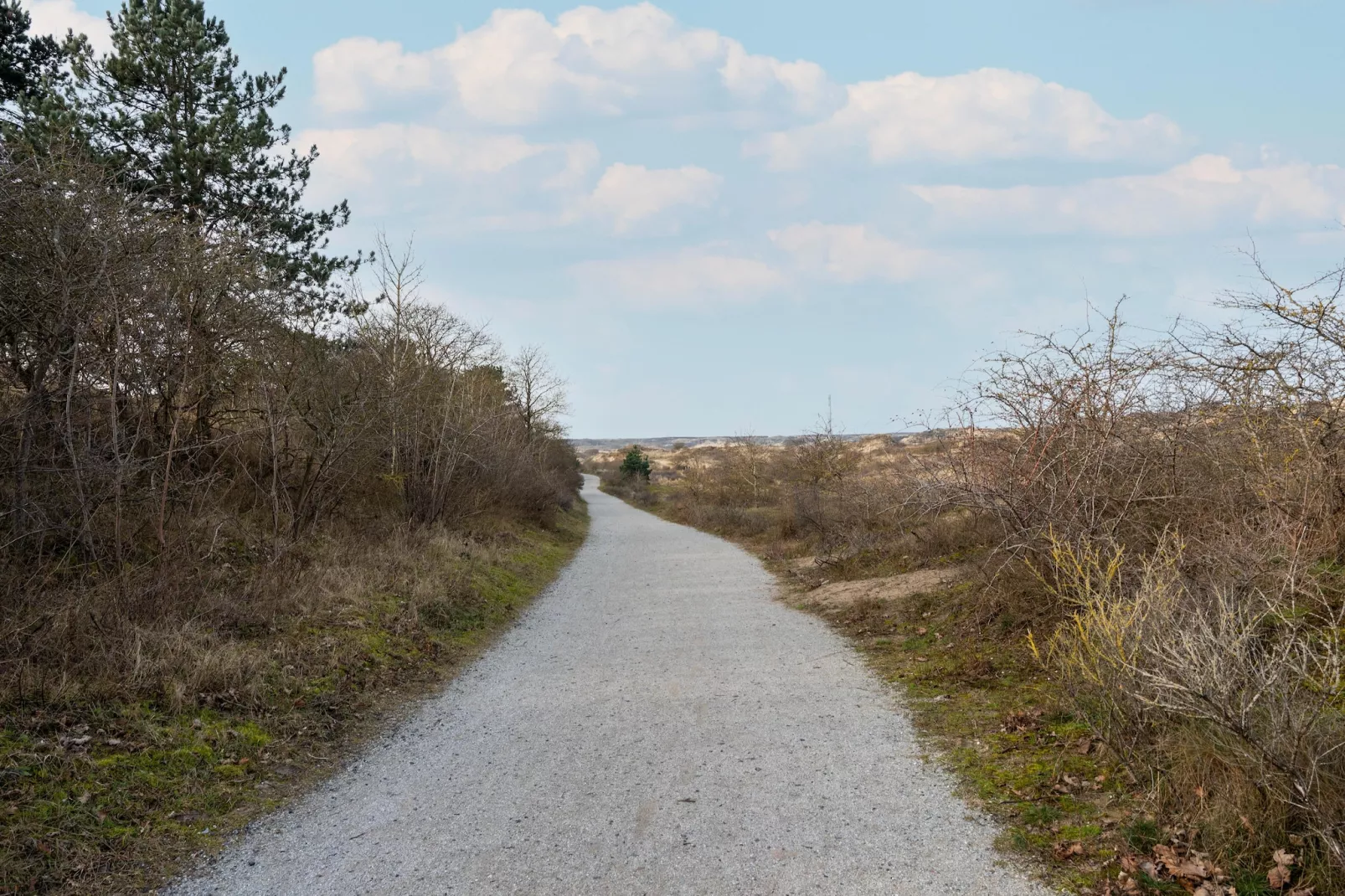 De Zilvermeeuw - Gebieden zomer 5km