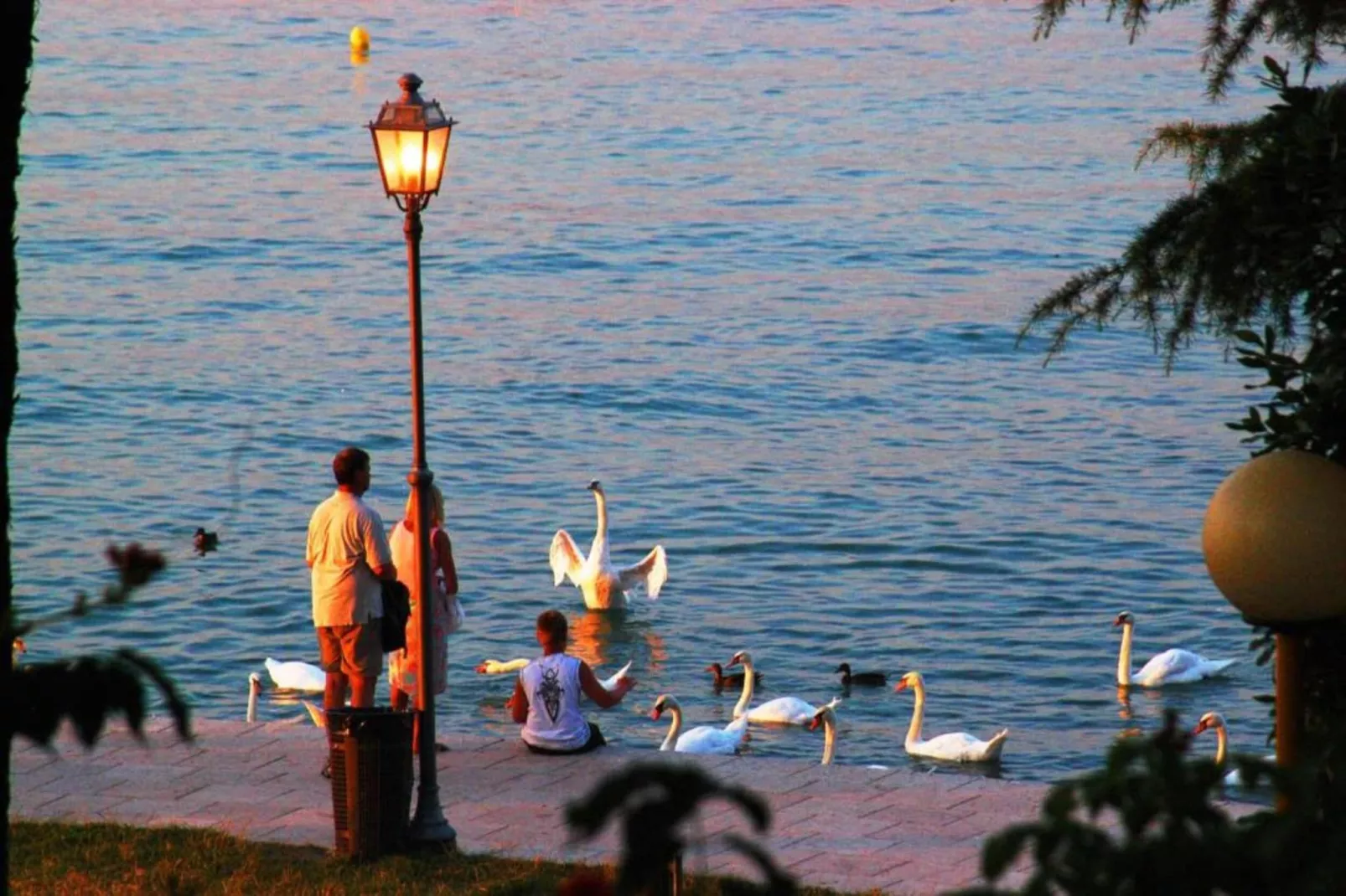 Garda Resort T6 PT Std - Gebieden zomer 20km