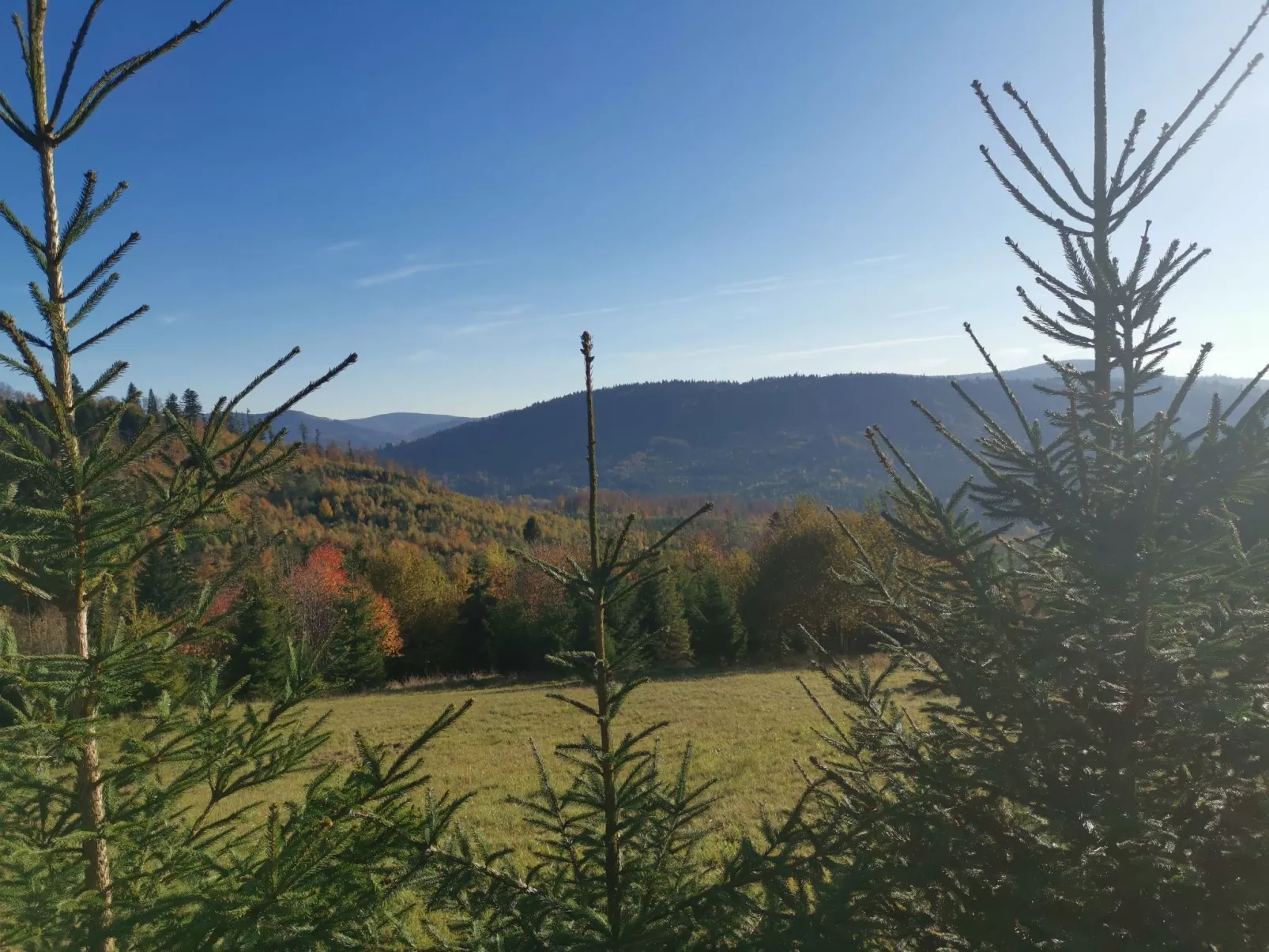 In den Bergen, Villa mit Panoramaterrasse - Buiten