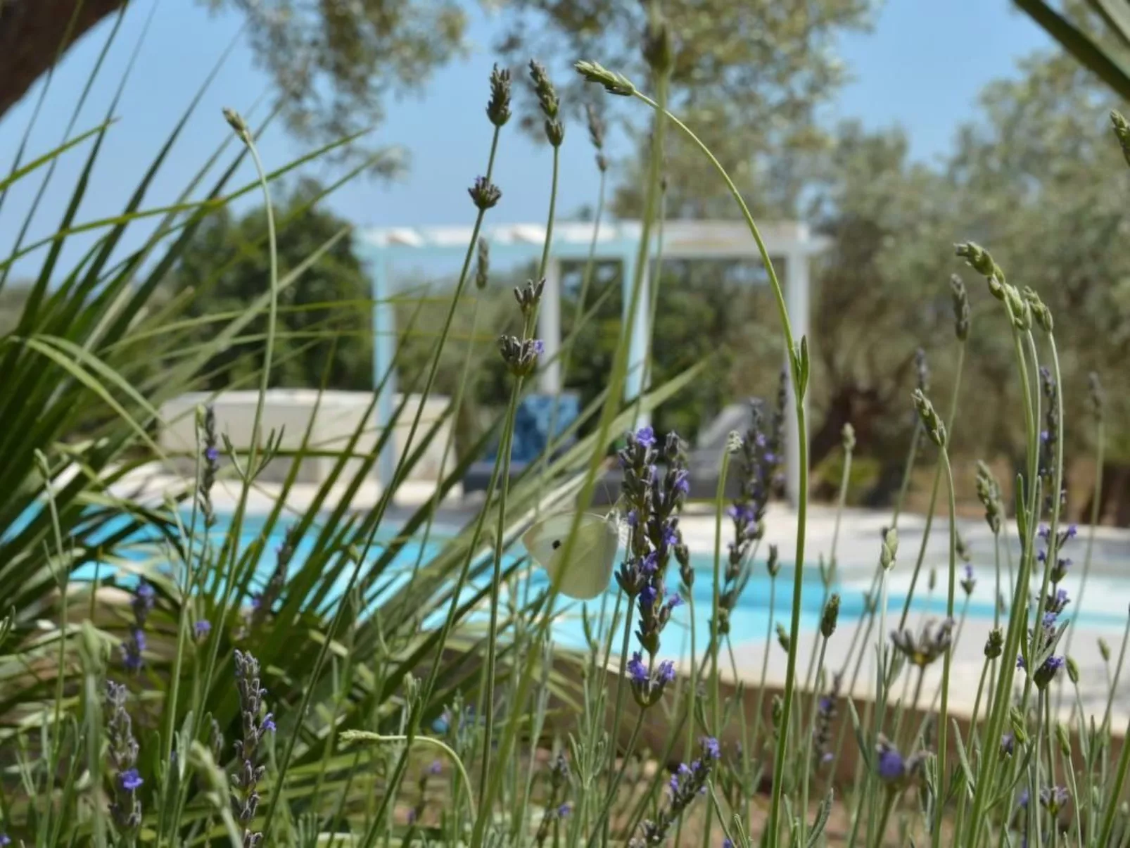 Moderne Ferienvilla bei Noto mit Meerblick und privatem Pool - Buiten
