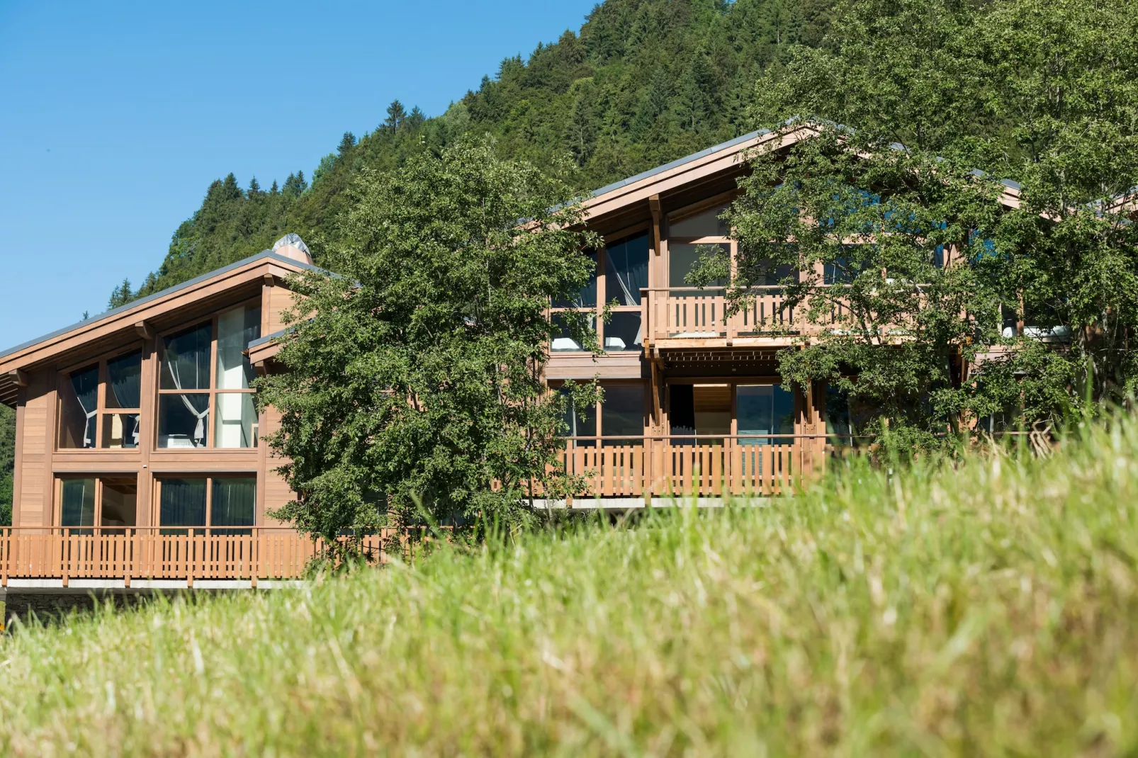Les Portes de Megève 7 - Buitenkant zomer