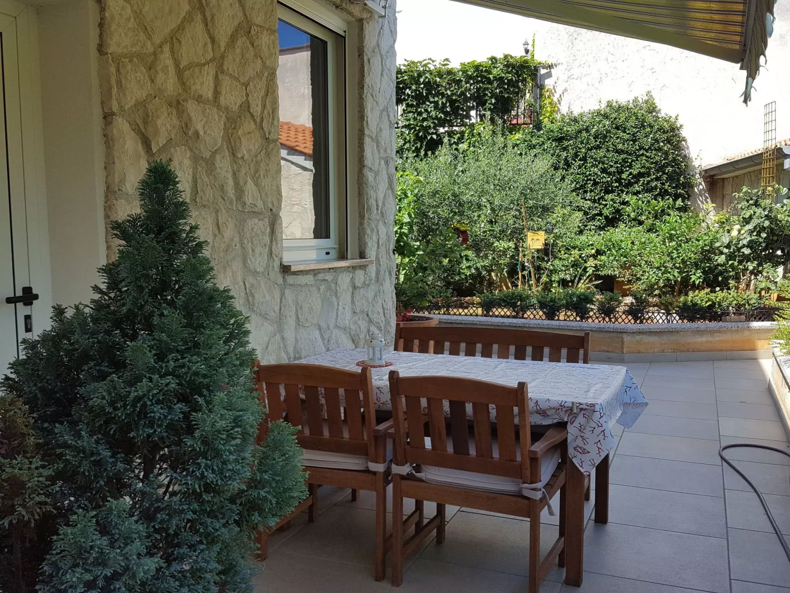 Ginkgo 3 - Image-tags.info