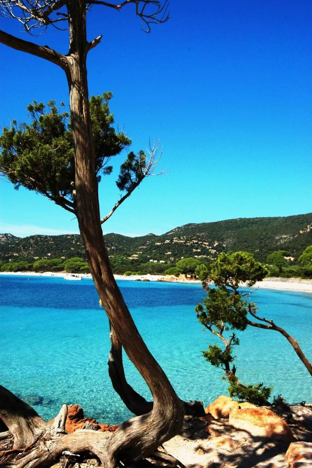 Unterkunft mit Terrasse, AC, Gemeinschaftspool - Image-tags.info