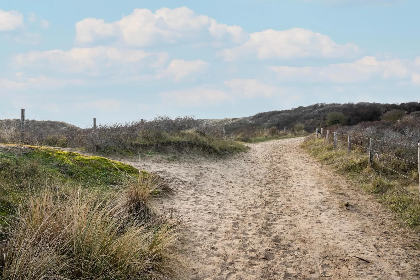 De Zilvermeeuw - Gebieden zomer 5km