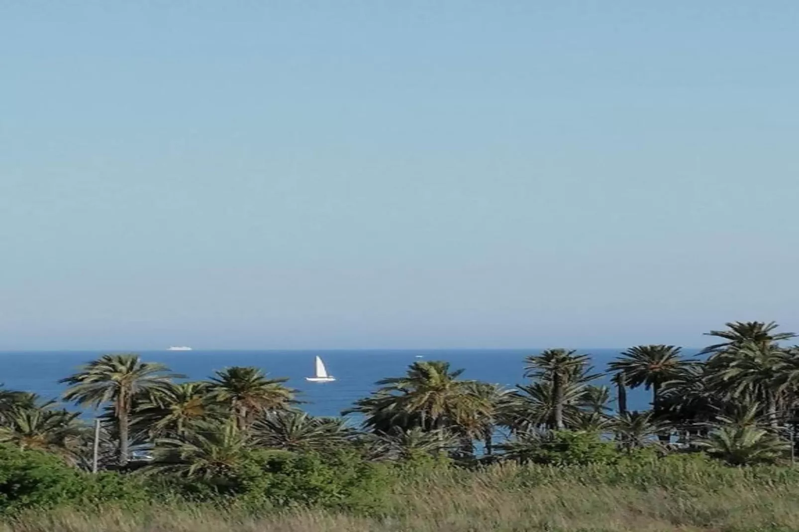 Moguima 1d - Gebieden zomer 1km