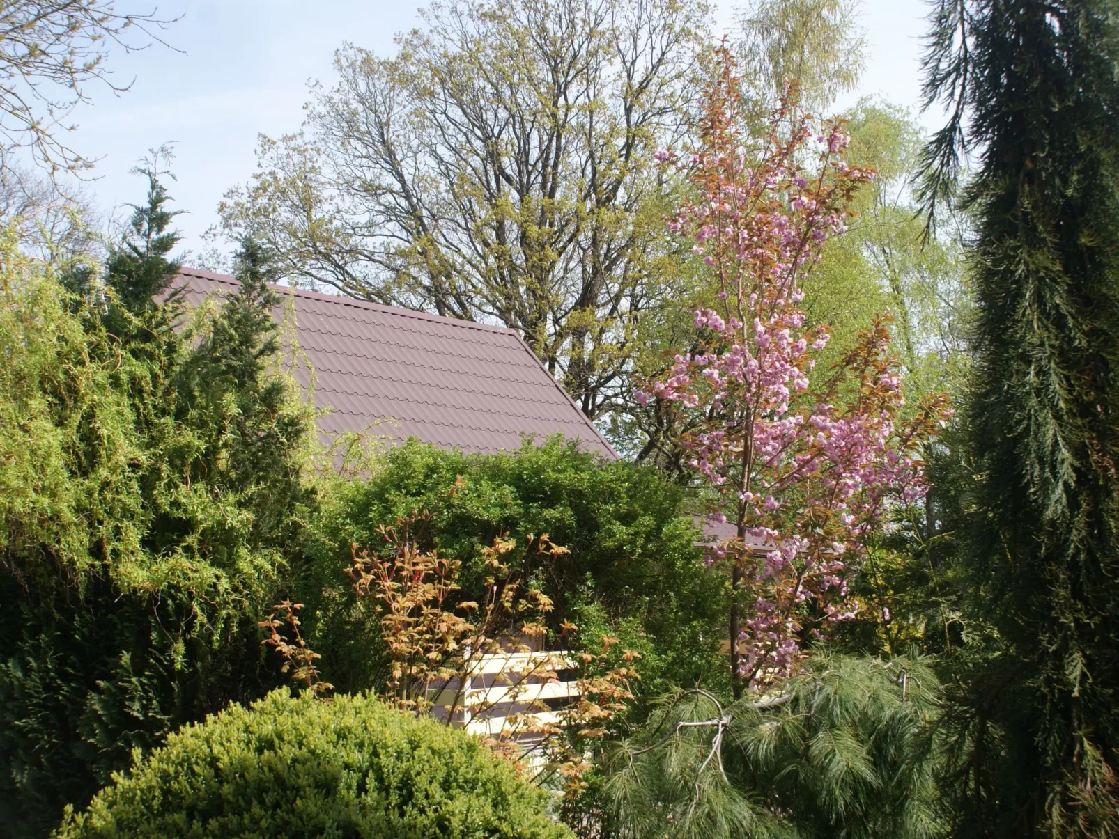 Ruhe am Meer - Ferienhäuser in den Gärten von Magra - Buiten