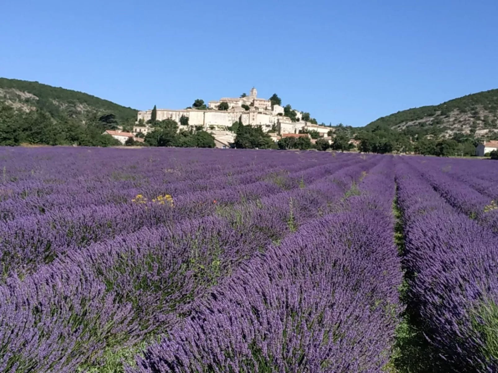 L ancien Hôtel Creste - Buiten
