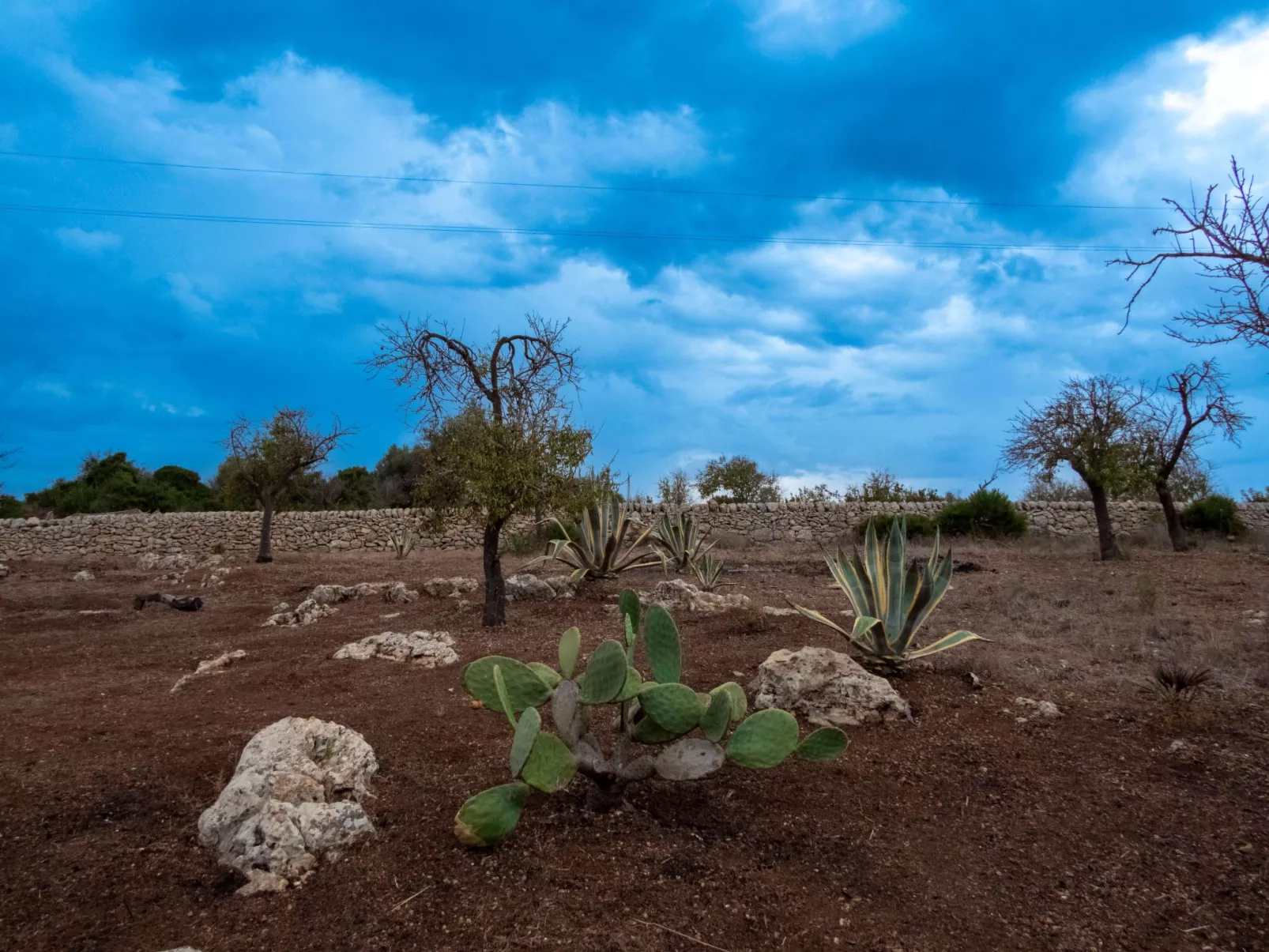 Giniusa' Studio mit Whirlpool-Badewanne - Buiten