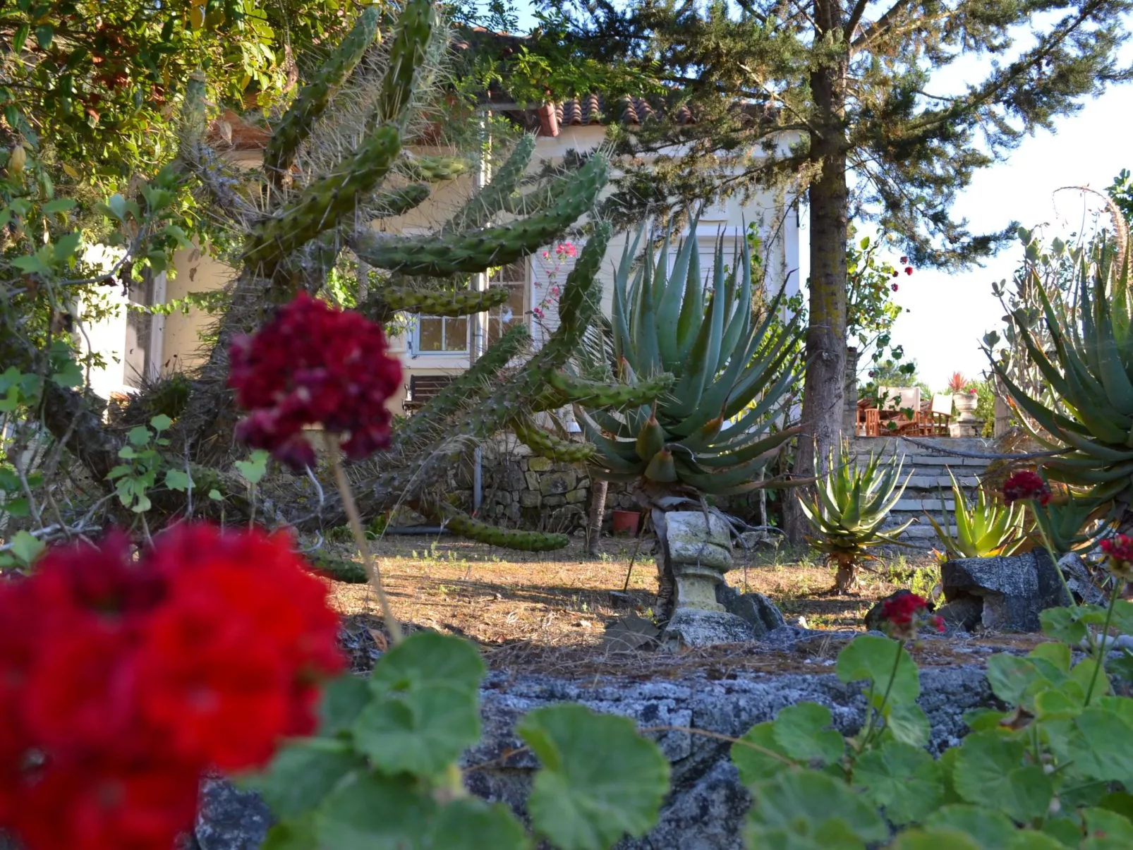 Anwesen mit Garten, Grill und Terrasse - Buiten